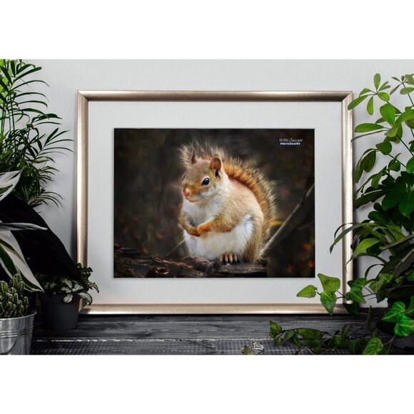 8x10 Squirrel Photography Cute Squirrel Oil Painting Print‎ - Picture 3 of 3